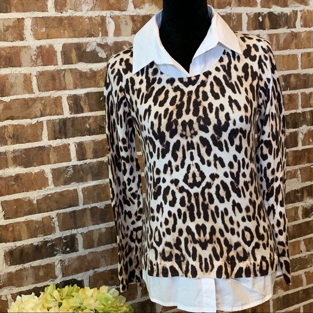 🔥 CHICO’S  I  Braylynn Leopard Sweater 🔥